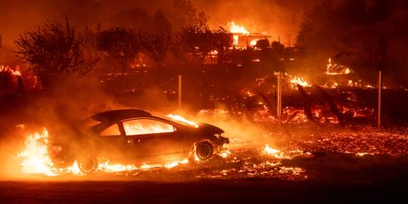 požar Kalifornija (Foto: AFP)