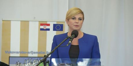 Dan Vukovarsko-srijemske županije (Foto: Dnevnik.hr) - 2