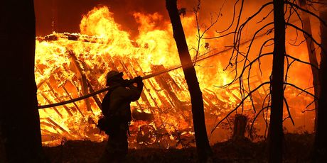 Požar u Kaliforniji (Foto: AFP) - 4