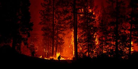 Najgori požar u povijesti Kalifornije (Foto: AFP)