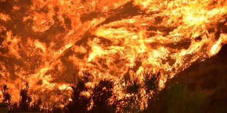 Uzrok požaru još nije poznat (Foto: AFP)