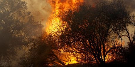 Požari u Kaliforniji (Foto: AFP) - 4