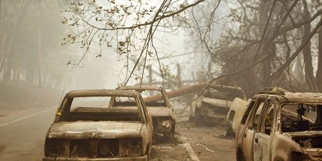 Požari u Kaliforniji (Foto: AFP) - 6