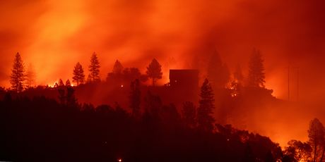 Požar u Kalirofniji (Foto: AFP)