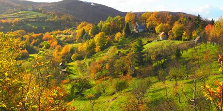 Žumberak