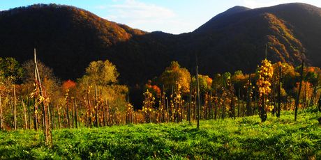 Žumberak