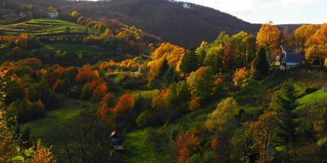Žumberak