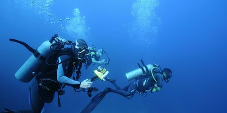 Pelorus - 3