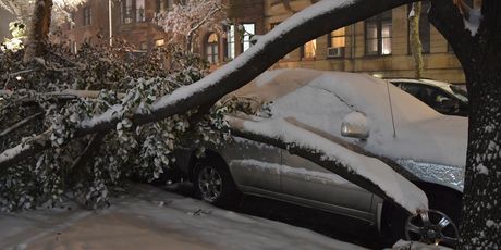 Snijeg u New Yorku (Foto: Angela Weiss / AFP)