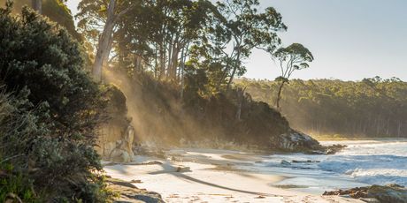 Tasmanija - 4