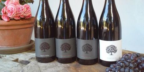Tilia Estate Pinot Noirs