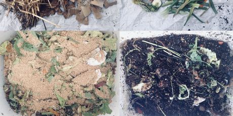Mali Food Hub - 2