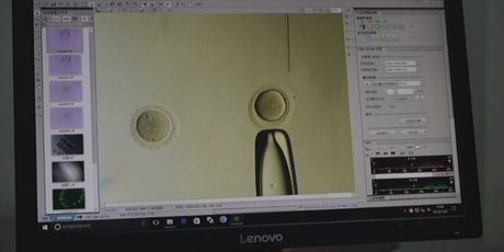 Genetski modificirane bebe (Foto: Dnevnik.hr) - 2