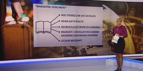 Videozid o tzv. Marakeškom sporazumu (Foto: Dnevnik.hr) - 1