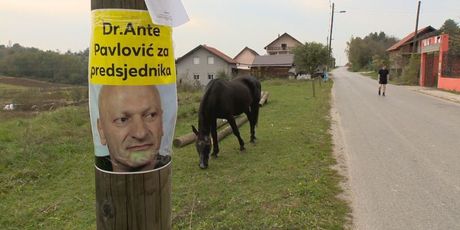 Ante Pavlović (Foto: Dnevnik.hr) - 1