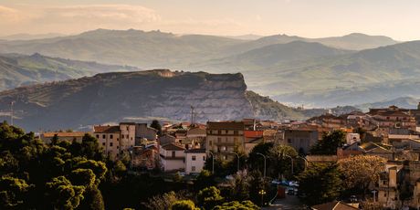 Cammarata - 1