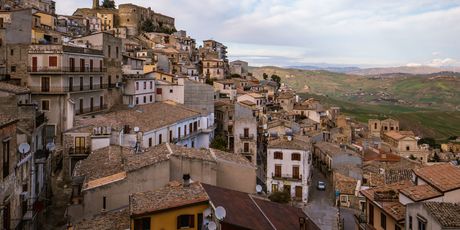 Cammarata - 3