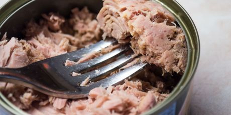 Tuna