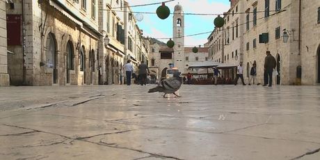 Mljet (Foto: Dnevnik.hr) - 2