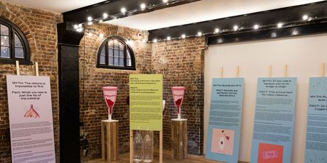 Vagina Museum - 8