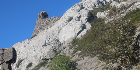 Panos