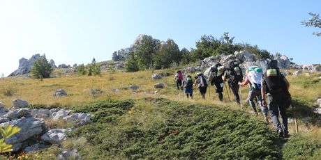 HIGHLANDER Velebit
