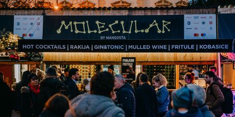 Molecular by Mangosta - 1