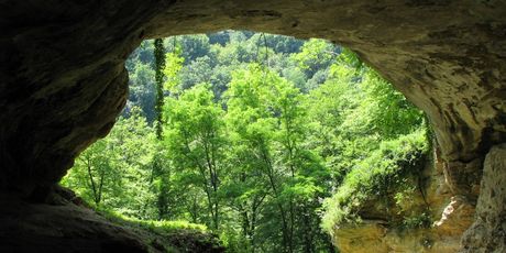 Špilja Vindija - 3