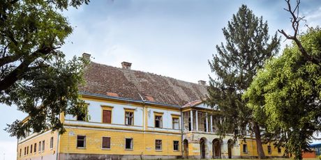 Baranja - 4