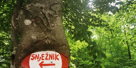 Snježnik i PD Moša Albahari - 1