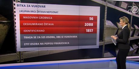 Stradali u Vukovaru u brojkama - 7