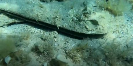 Nada u spas periski - 1