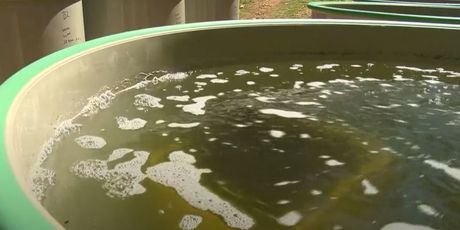 Nada u spas periski - 3