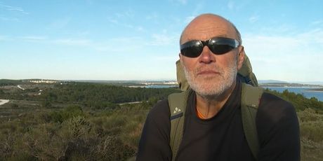Feručo Lazarić - 2