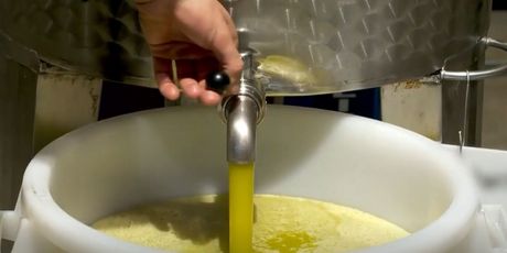 Maslinovo ulje - 1