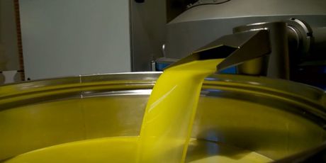 Maslinovo ulje - 2
