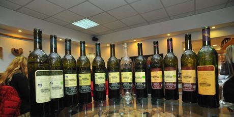 Vinski klub - 3
