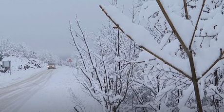 Snijeg u Dalmaciji - 2