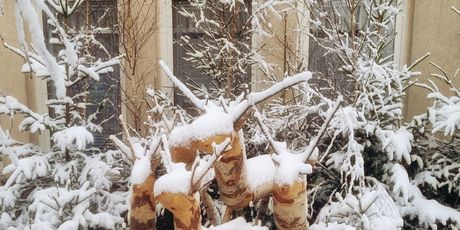 Advent u Delnicama - 2