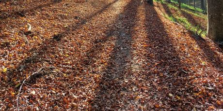 Highlander Medvednica - 17