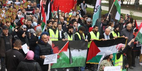 Skup potpore Palestincima u Sarajevu