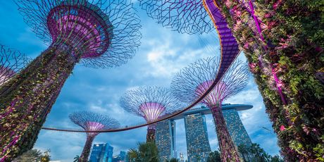 Singapur