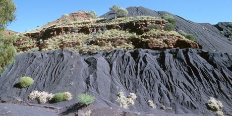 Wittenoom - 6