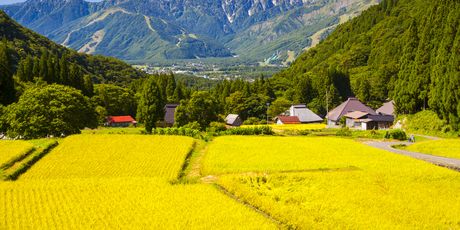 Hakuba - 4