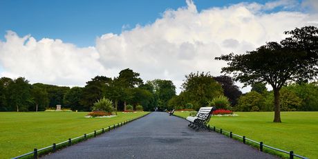 Phoenix Park , Dublin
