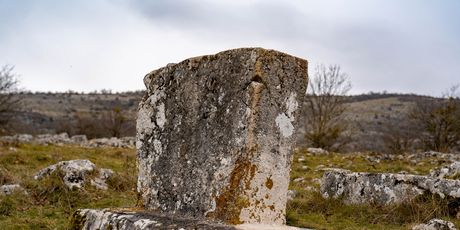 Bratač - 5