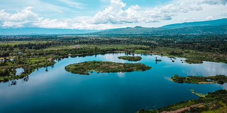 Chinampa - 1