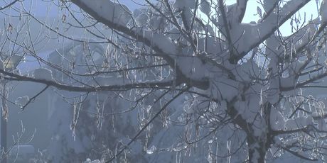 Snijeg u Srbiji - 3