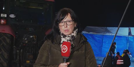 Marina Bešić Đukarić, reporterka Dnevnika Nove TV