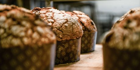 Panettone - 2